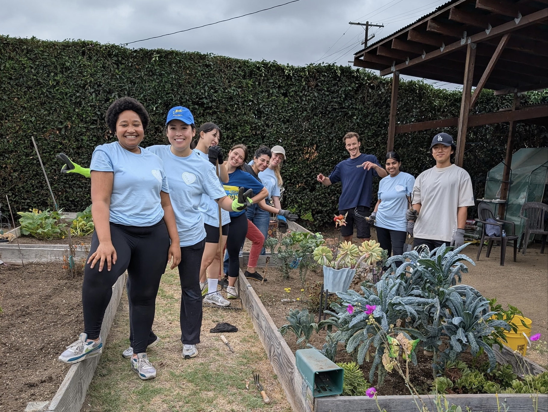 UCLA Anderson class volunteering at a community garden
